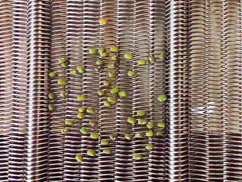 <b>食品網(wǎng)帶</b>